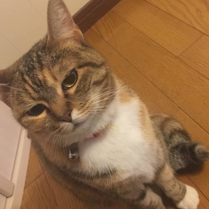 52248c99 ca57 4ab5 9d5d 6cc14c15ceb9 1555943268178