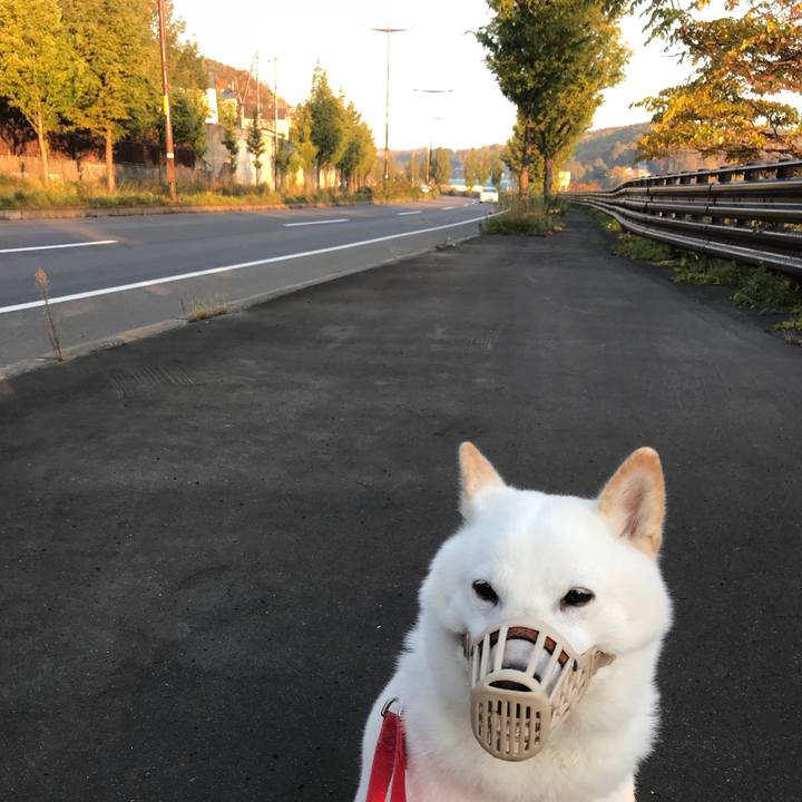 5224b07a 005d 44b2 a183 d54ac26f1d75 1540293590497