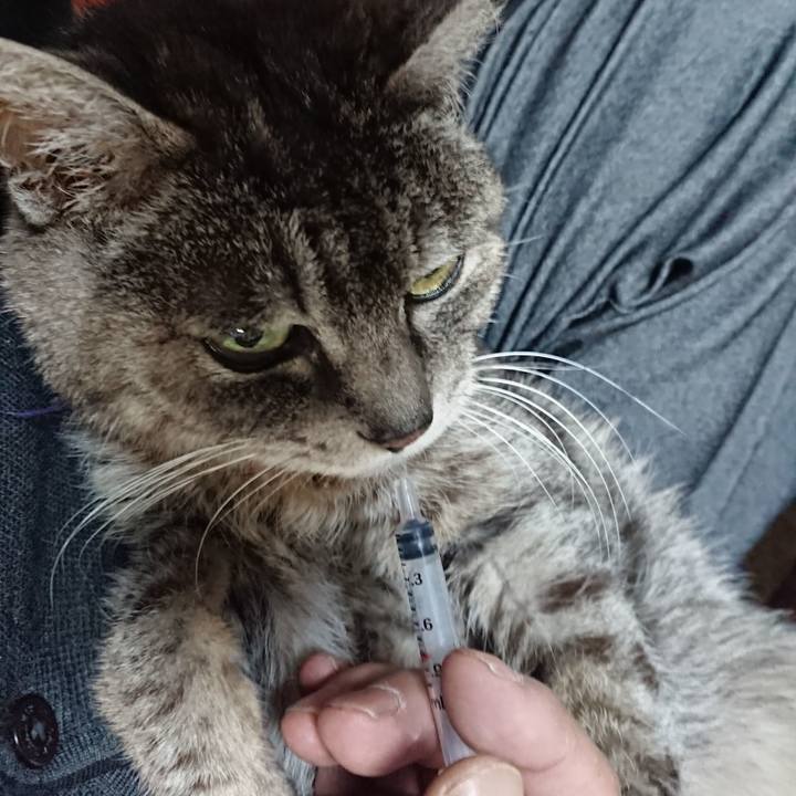 5224d31e b34b 4927 9c03 650afddafd0b 1582062949102