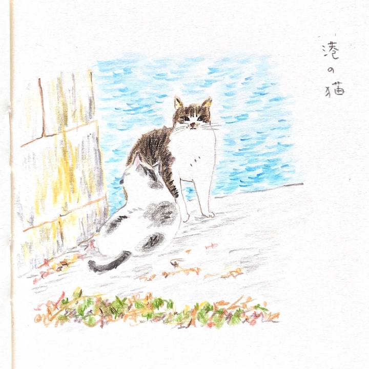 5224d65e 5dcd 4ba2 8fec 0cd25fc4b0fb 1617695033081