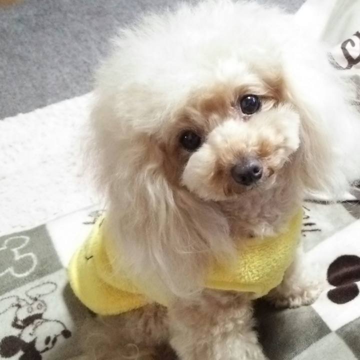 5224fe14 f31d 44b0 92a5 5628da13360a 1556267200940