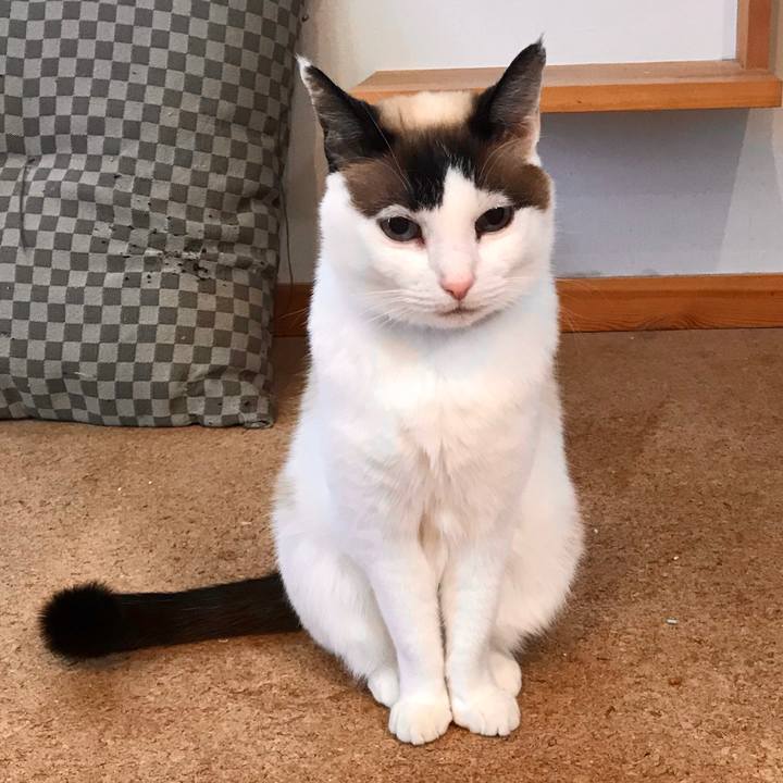 52250b30 4ed4 4059 889d ef05ed324835 1586145360623