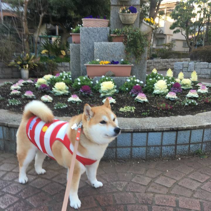 52251859 0b85 4111 93fd 0e47d8ab9cee 1552036742877