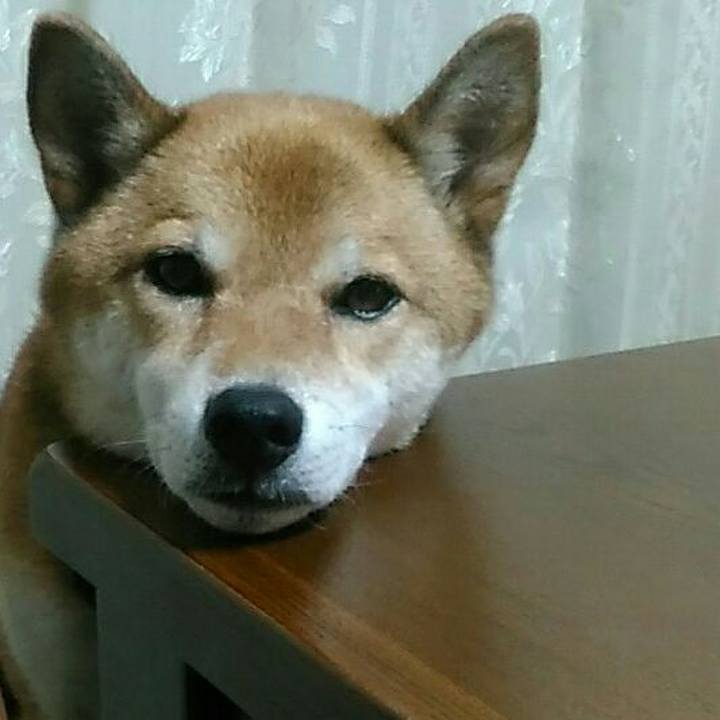 522520c0 cfa9 474f 9304 2269daf2ed0f 1568034004356