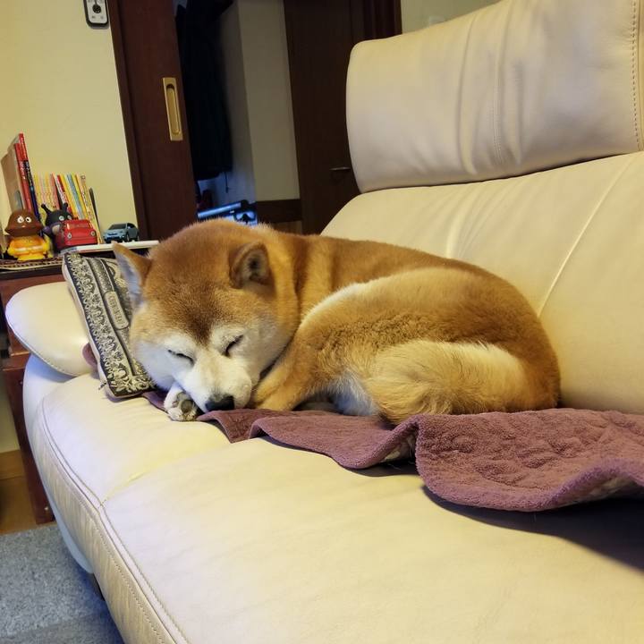 52252b66 f88c 41f9 a5e2 86665b7fac10 1651360296940