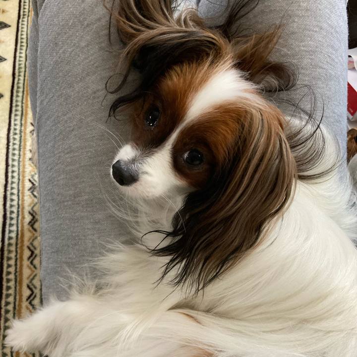 52252d23 3397 4048 ae88 976ab08b6274 1635045883172