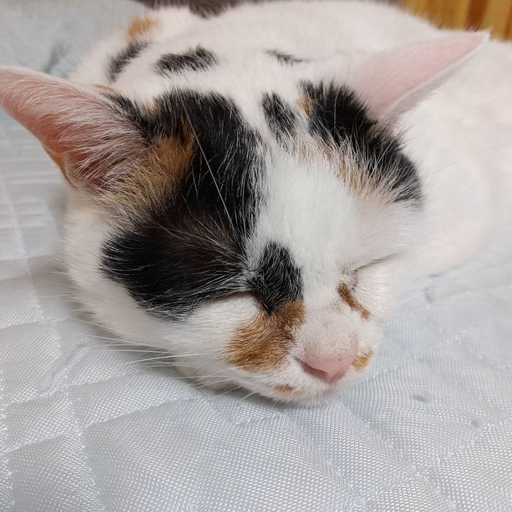 522534f0 2c8c 4305 bbc6 1700ebd6f91c 1595597442985