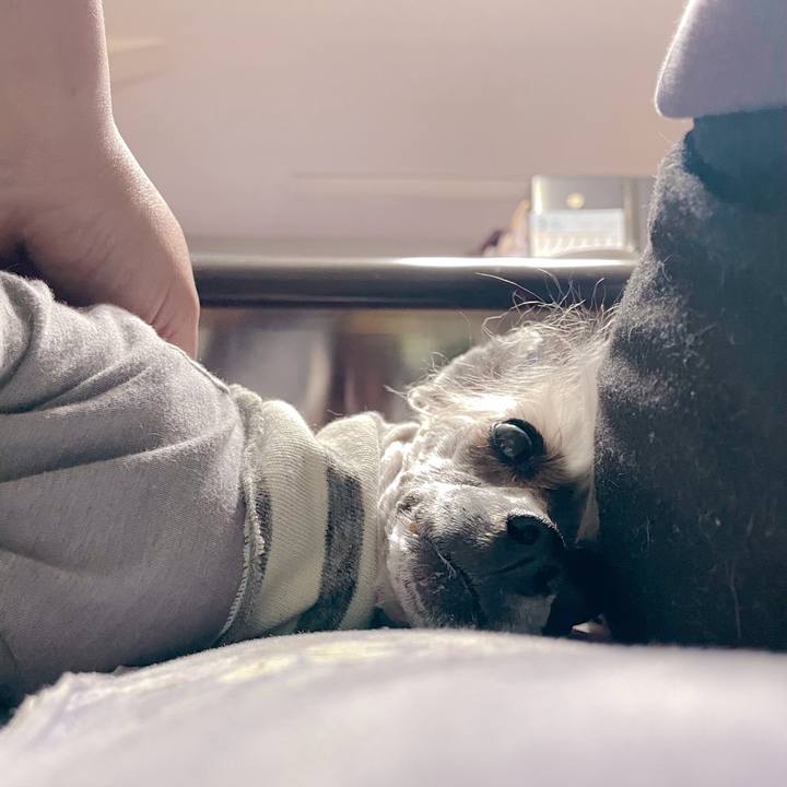 5225428b df89 469f 80b9 b58fc6fde6b0 1774093976055