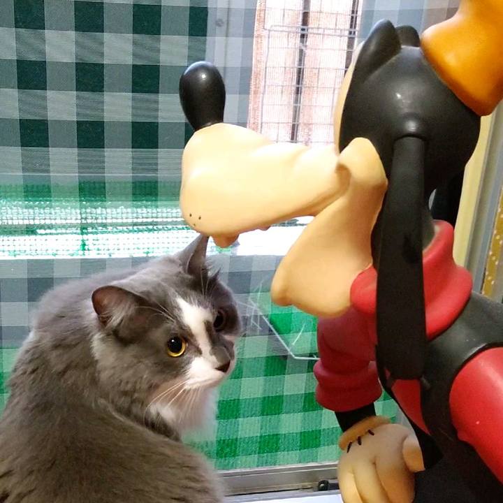 522564d0 4868 4c6c aca7 df3c64a2e072 1595746919266