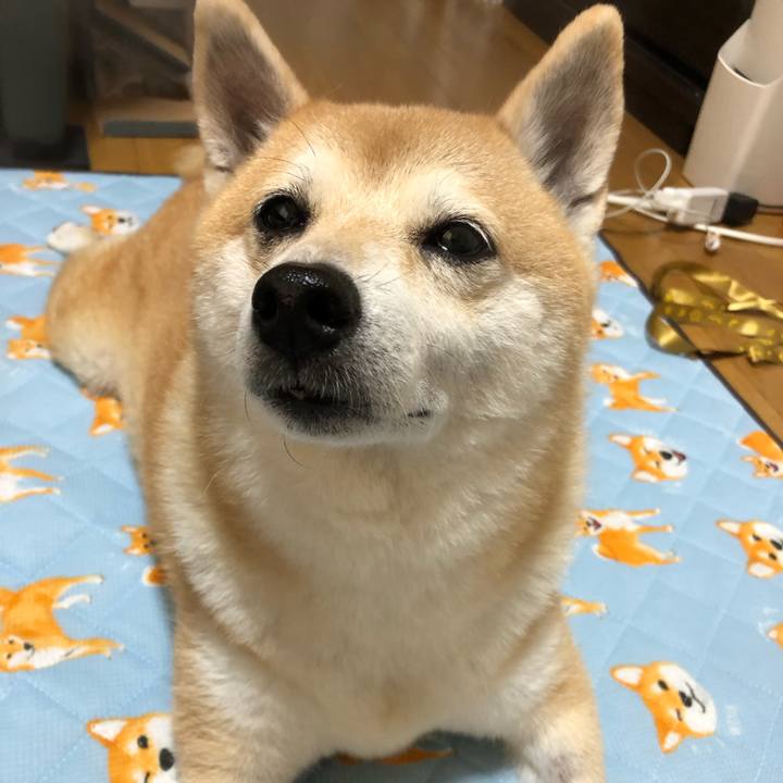 5225b3c1 1a63 4a97 928b 0e01244a1dff 1570157933891