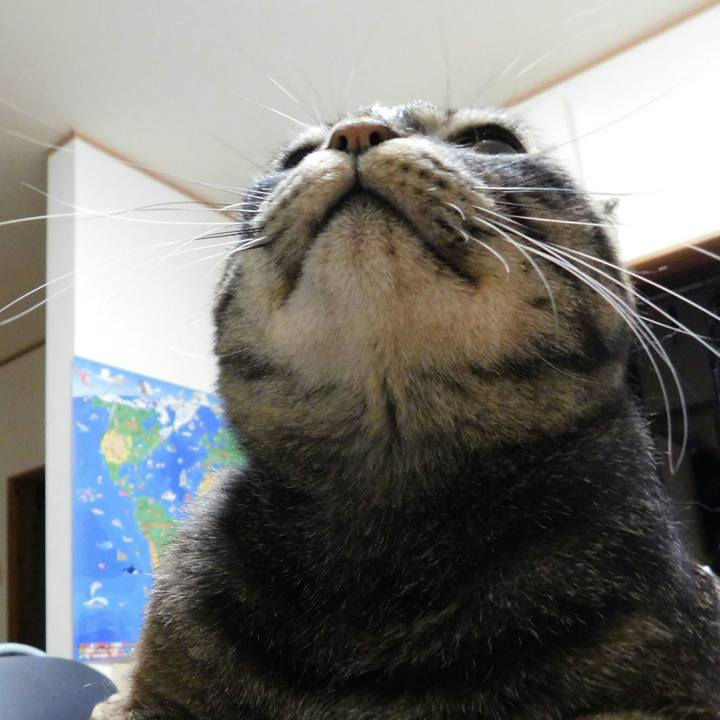 5225d21c 0949 4b05 9f0e 59db1c5900cf 1530193493306