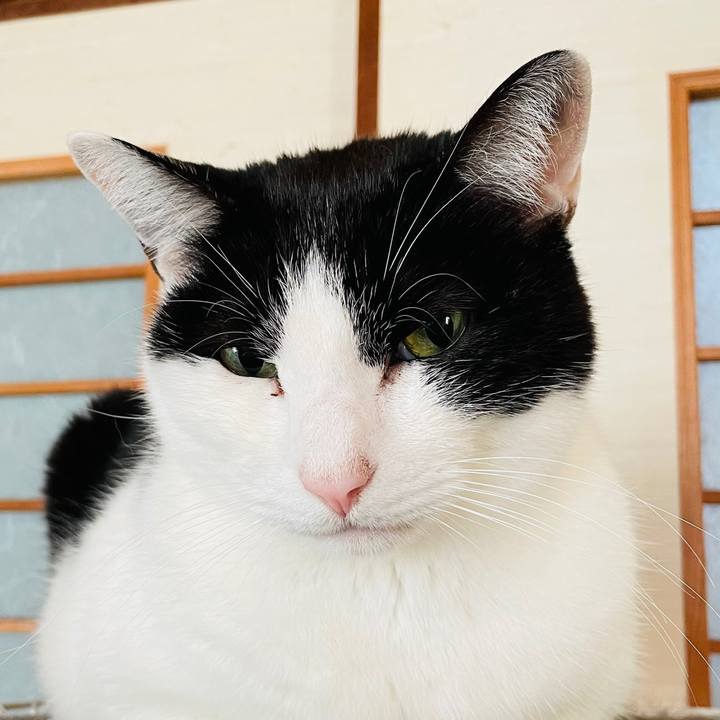 5226161d 8501 4c35 8489 cf972b8f318a 1607394492666