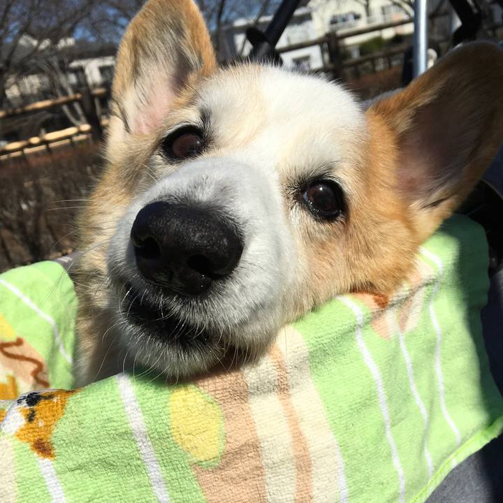 52263c5e 80f0 4364 bcbd 53369f58c15d 1581306863111