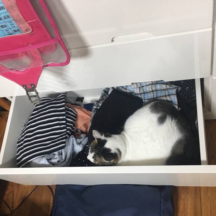 52263e0b 2105 4ebf 956f 6aa1084eba41 1510674984890