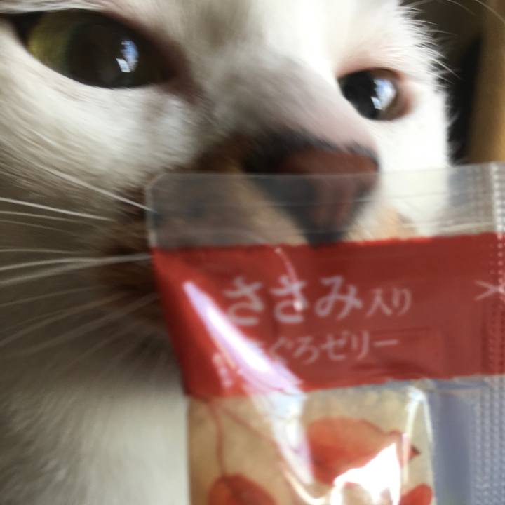 5226667d d831 4a2d 8aeb 204bd9bae2d8 1605754428760