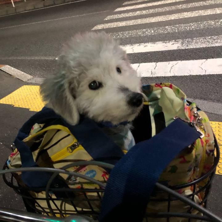 522679fc 9946 4f26 bd51 da75248cc846 1618064043407