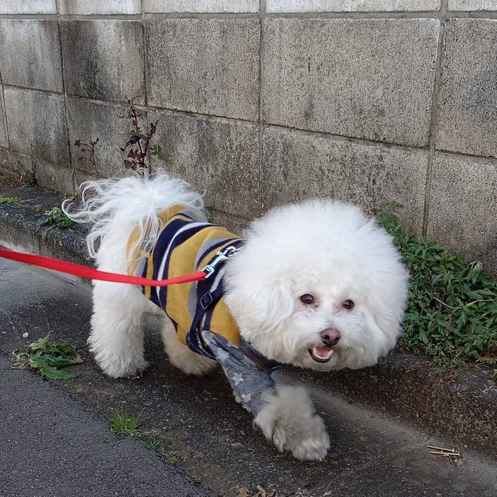 522680fd 21c2 4a27 91f4 d1e8974d39f6 1581400508096