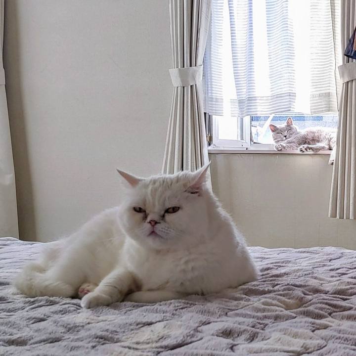 52269988 95dc 4ec9 997c a148178ab3e5 1733631518735