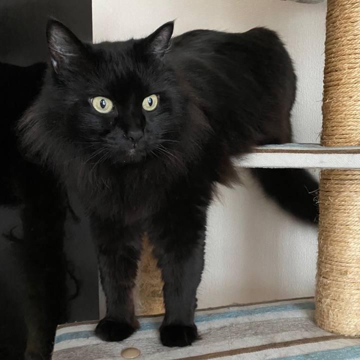 5226ac7f d226 430b 9df0 f4d1caaa26c0 1577684335509