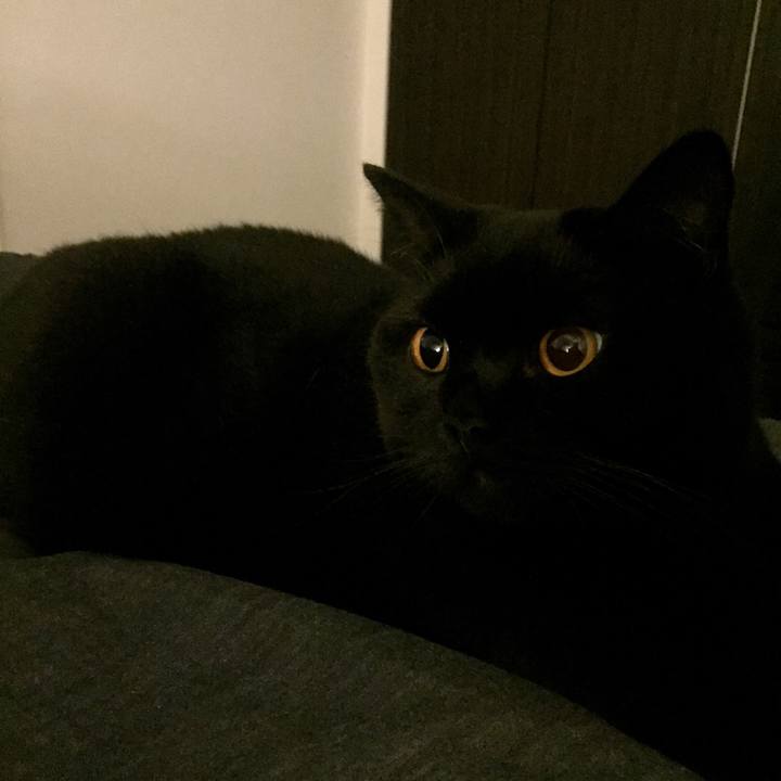 5226e16f 8e97 4086 96e6 604a2e167998 1540390360907