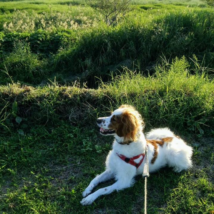 5226e586 8327 4cb5 a5d1 513fe0641549 1538134739713