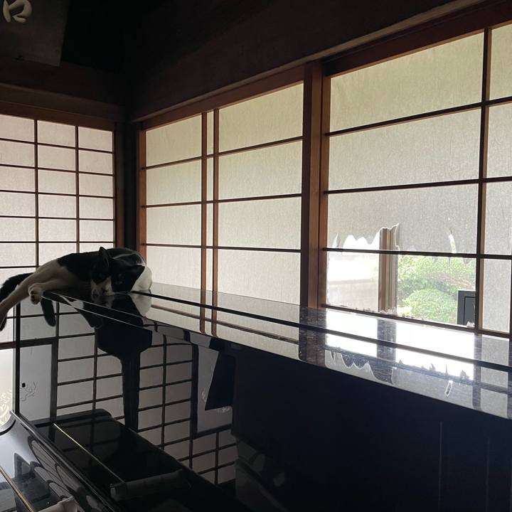 5226febd 2e27 4c68 8f9a 0ed37406534e 1688082492950