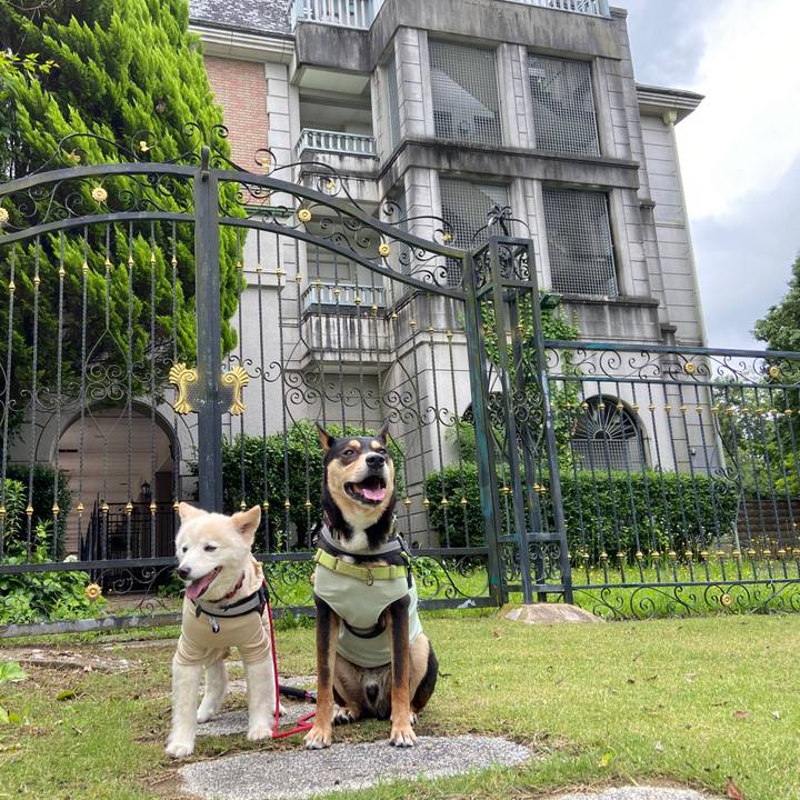 5227037e c550 4e80 9b79 30ae1ad46c44 1688595697537