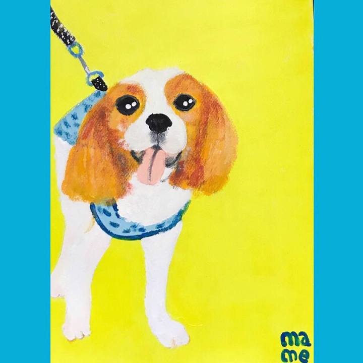 52274844 bd62 417e b561 a0adc7072b66 1544262535494