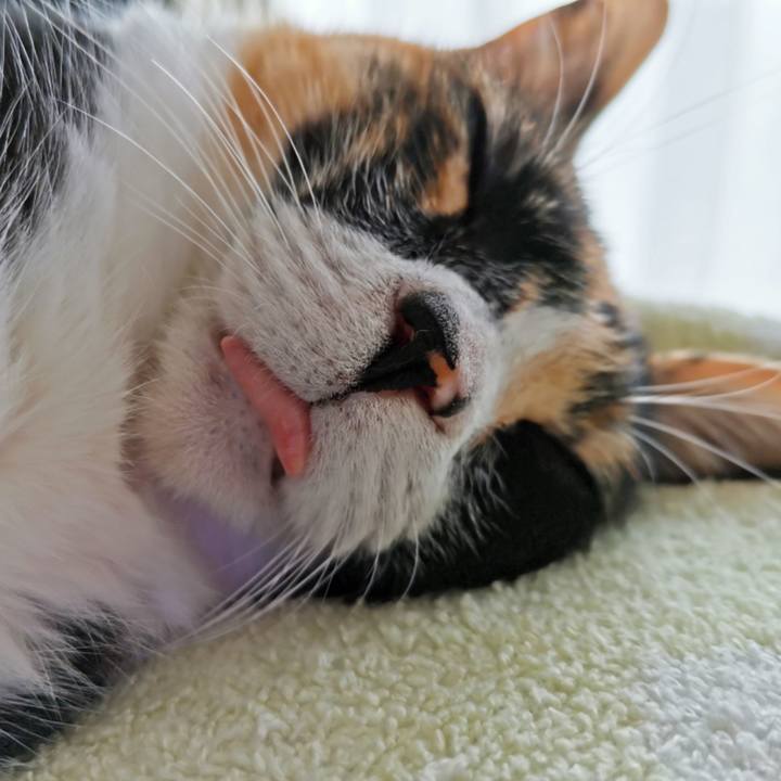 52274c9f de4a 4308 91d4 c0c93c665026 1661397611780