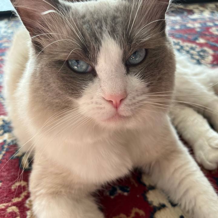 52274eb5 ef27 463a b576 8e90998a05aa 1649284853803