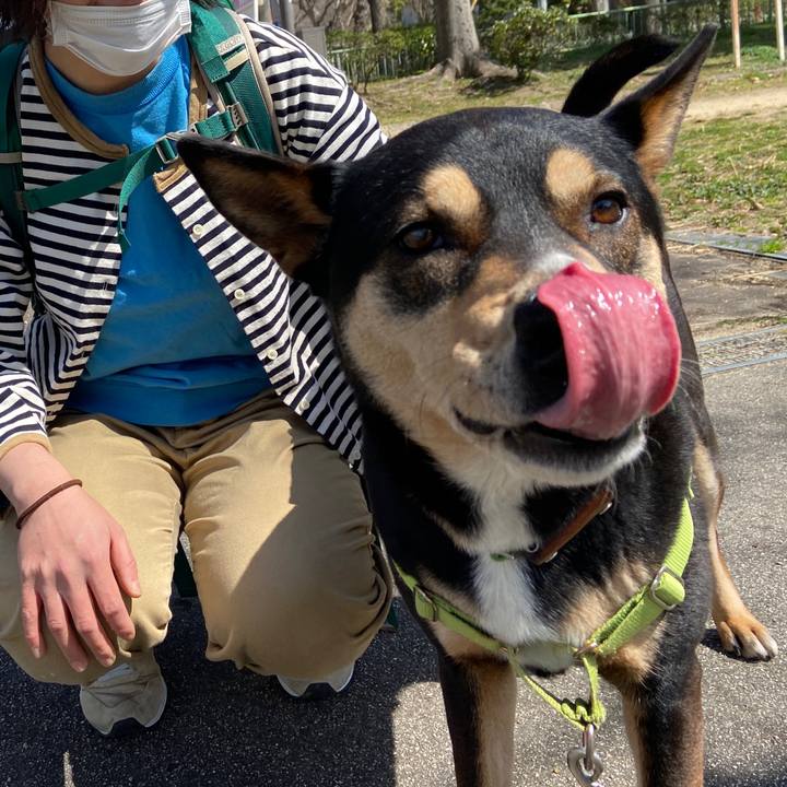 52277929 df1d 4cf6 9dbe 66330601659c 1647321298472