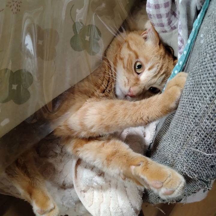 5227ac7d d233 4c75 ab1b 03ab88a72542 1681617743137