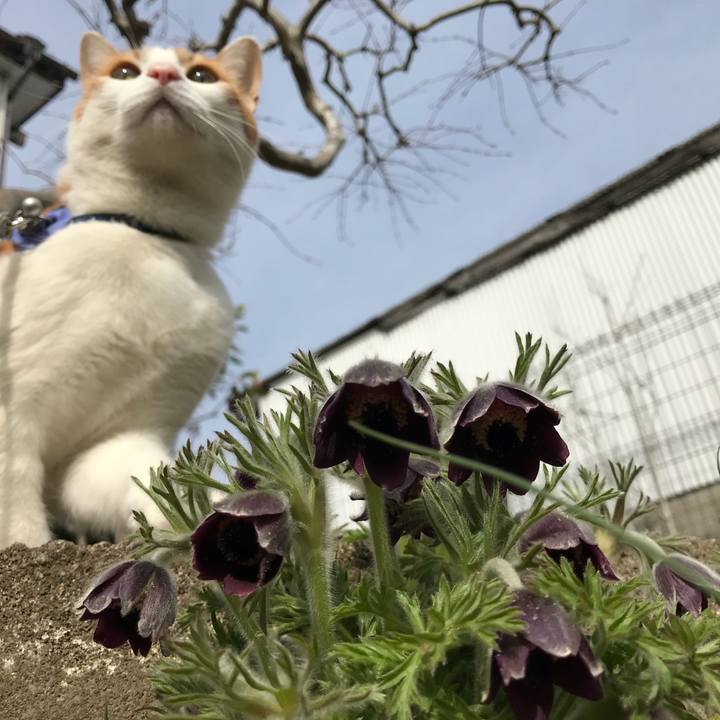 5227cf88 cfb4 45fe a4a7 427f93300ab8 1522915826738