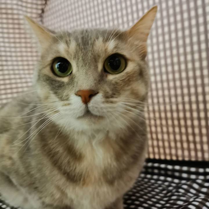 5227e621 b2ed 4010 bbc5 4994931902db 1653109479325