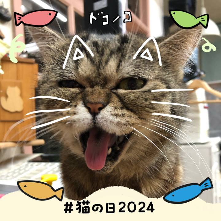 52282f0f 505e 44c1 84da 5fdd3f193db8 1708583447893