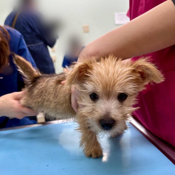 52284dd4 e49b 4b8e a8d7 5db1007cf396 1701379471777