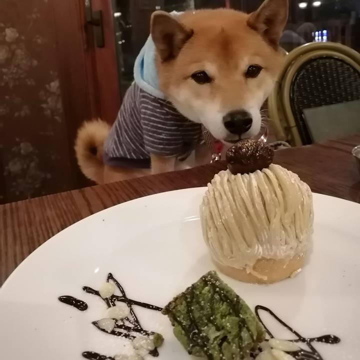 522863d5 e41b 47d8 a976 ab720f67911c 1607513092899