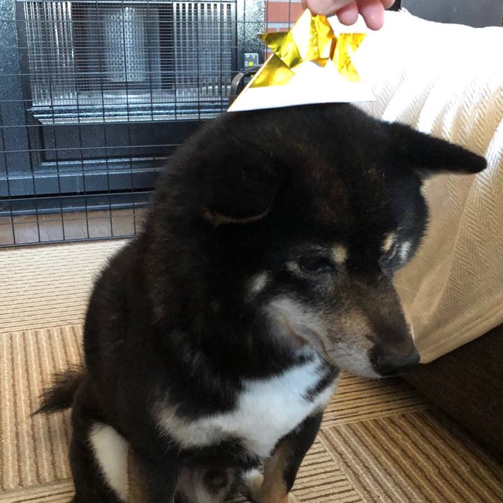 5228b460 c3b7 45fd 9e33 92dda212f222 1557051483699