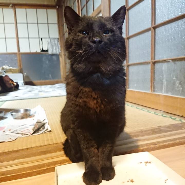 5228bc61 6707 4f9b a54e 0153c76b564c 1620386448303