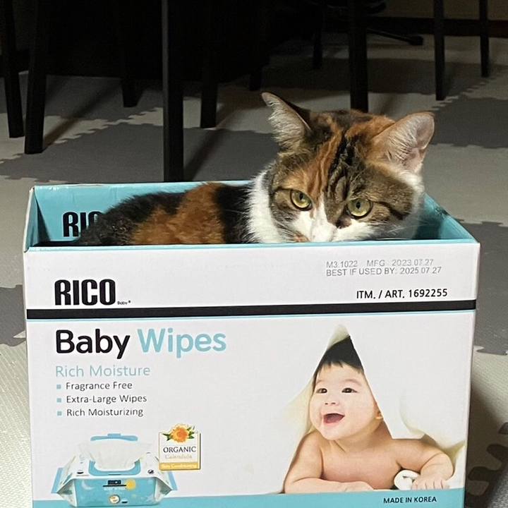 52290538 4912 4d79 b62f 2e404447ac0b 1693626338792