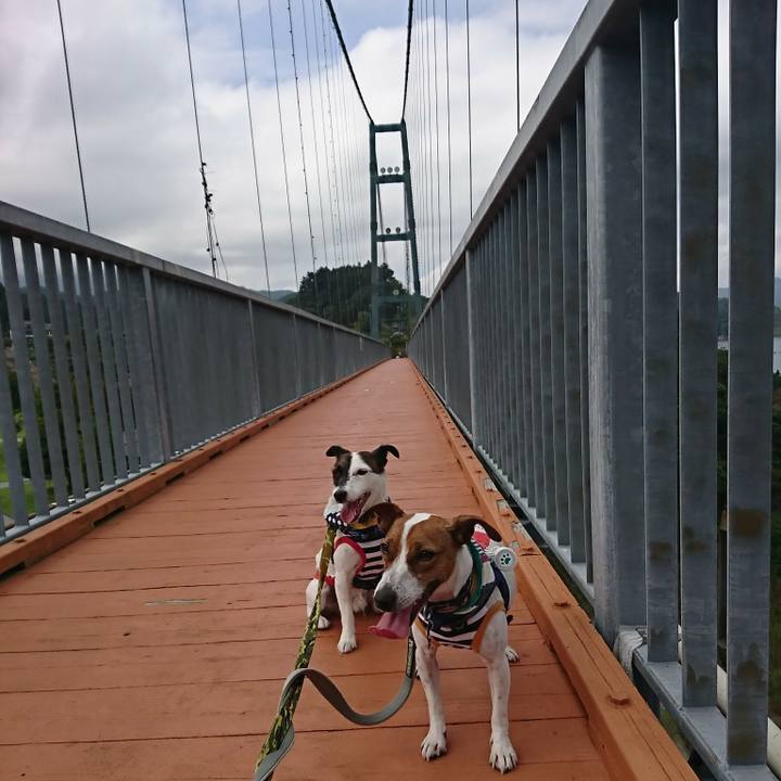 522908c0 18a3 4a6d 9150 23acd5d7fef7 1537762126929