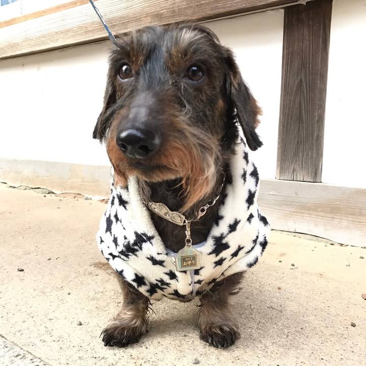 5229196e febd 480a 902d 90e23e99bb36 1515929051836