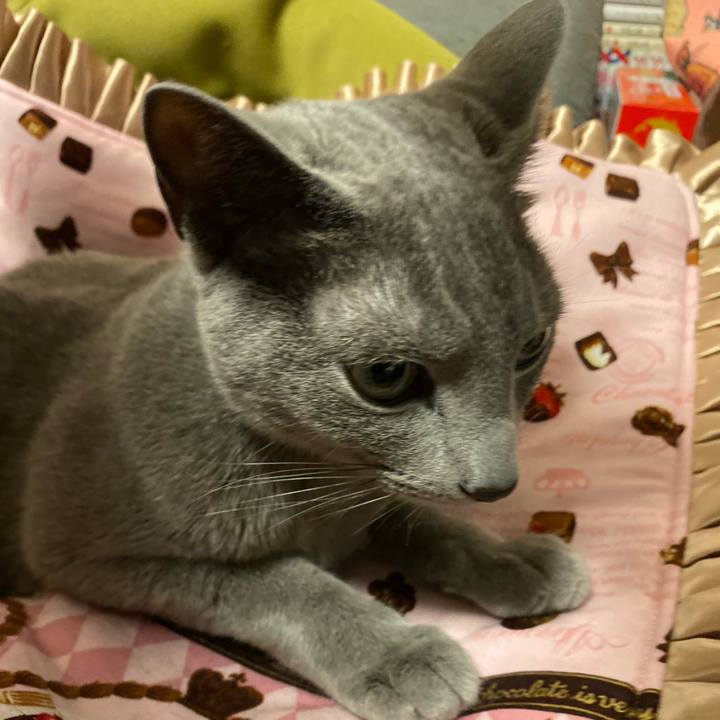 52293bd0 b3a9 427e ae7d 88502c937c5b 1682768487987