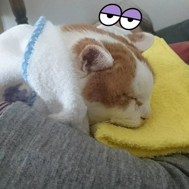 522955ee 07cc 427c ab03 0a5dbec0b553 1556860181378