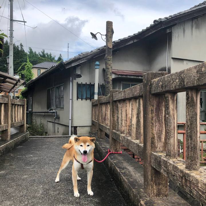 52299882 c368 4937 9ce1 d8d8322ee48a 1563356106705