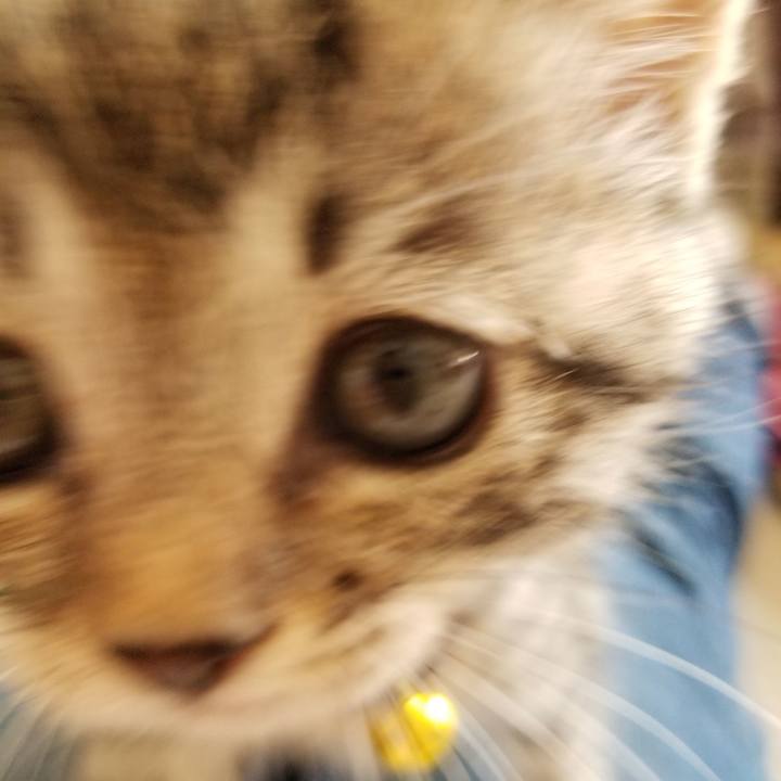 5229afc4 ac6b 4baf 905e a2e0c9ca9a3b 1661351606857