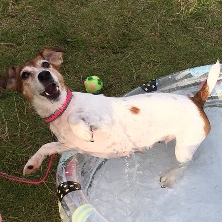 5229ec9e 635e 4548 b57d 21533eb754d1 1534341442875