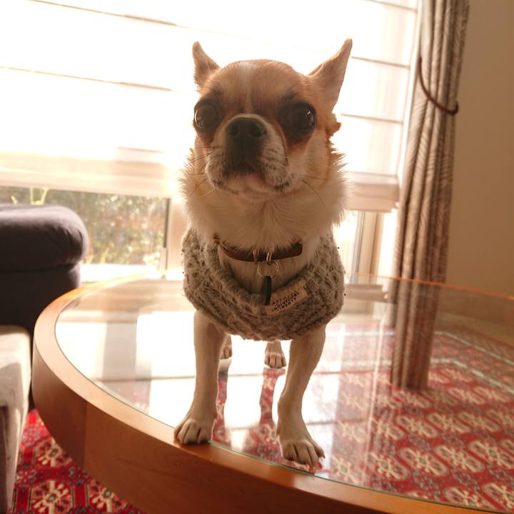 522a23ae 1b98 455a bb43 1596af13dcb1 1551510495734