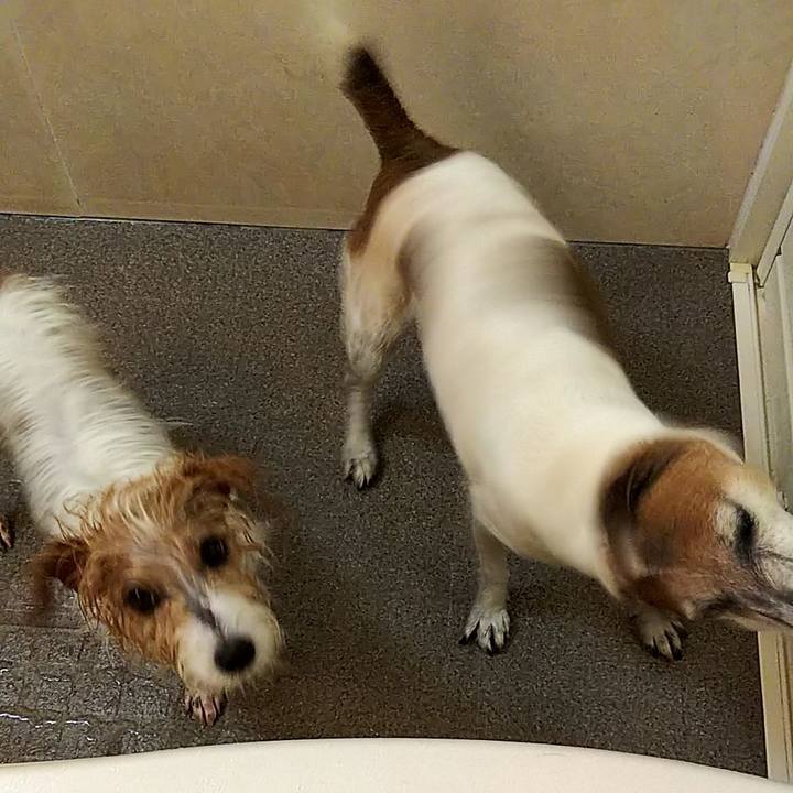 522a6817 af5c 4f1c b175 88de0056b517 1531062404040