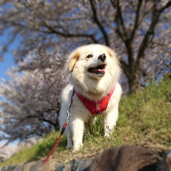 522a880f e1c3 4731 8ae3 3b5281d52780 1647148894392